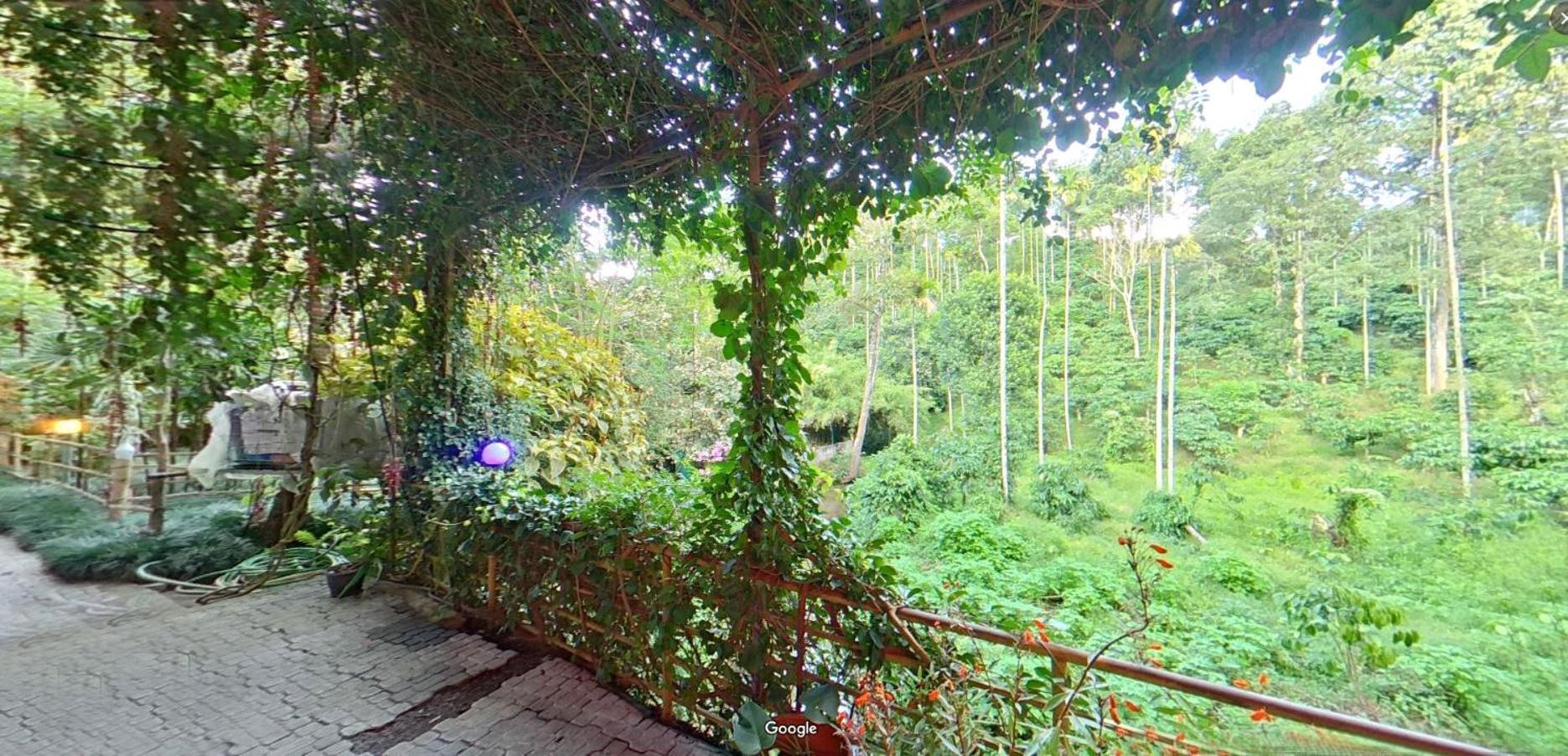 לינה וארוחת בוקר קאלפטה Wayanad Royal Stream מראה חיצוני תמונה