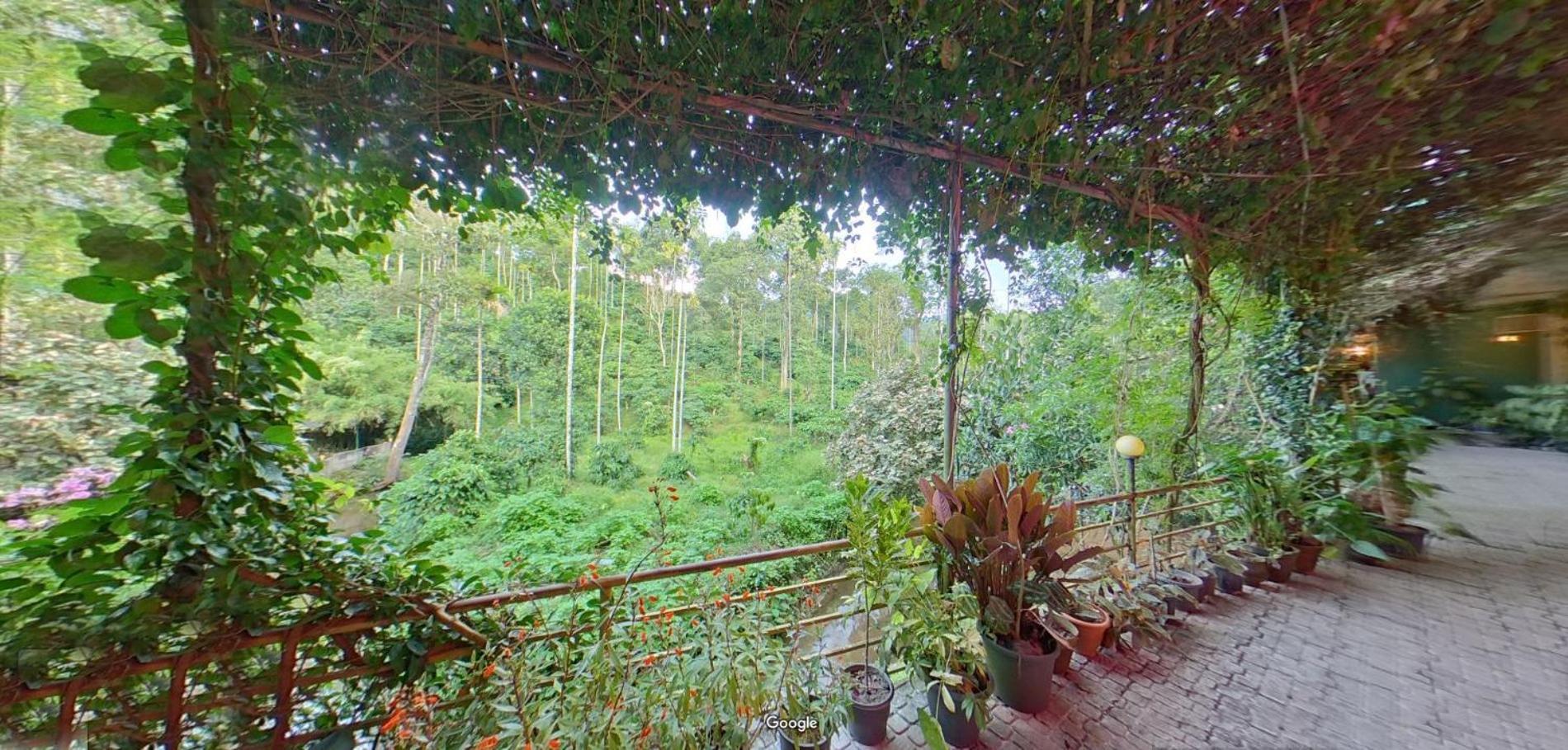 לינה וארוחת בוקר קאלפטה Wayanad Royal Stream מראה חיצוני תמונה