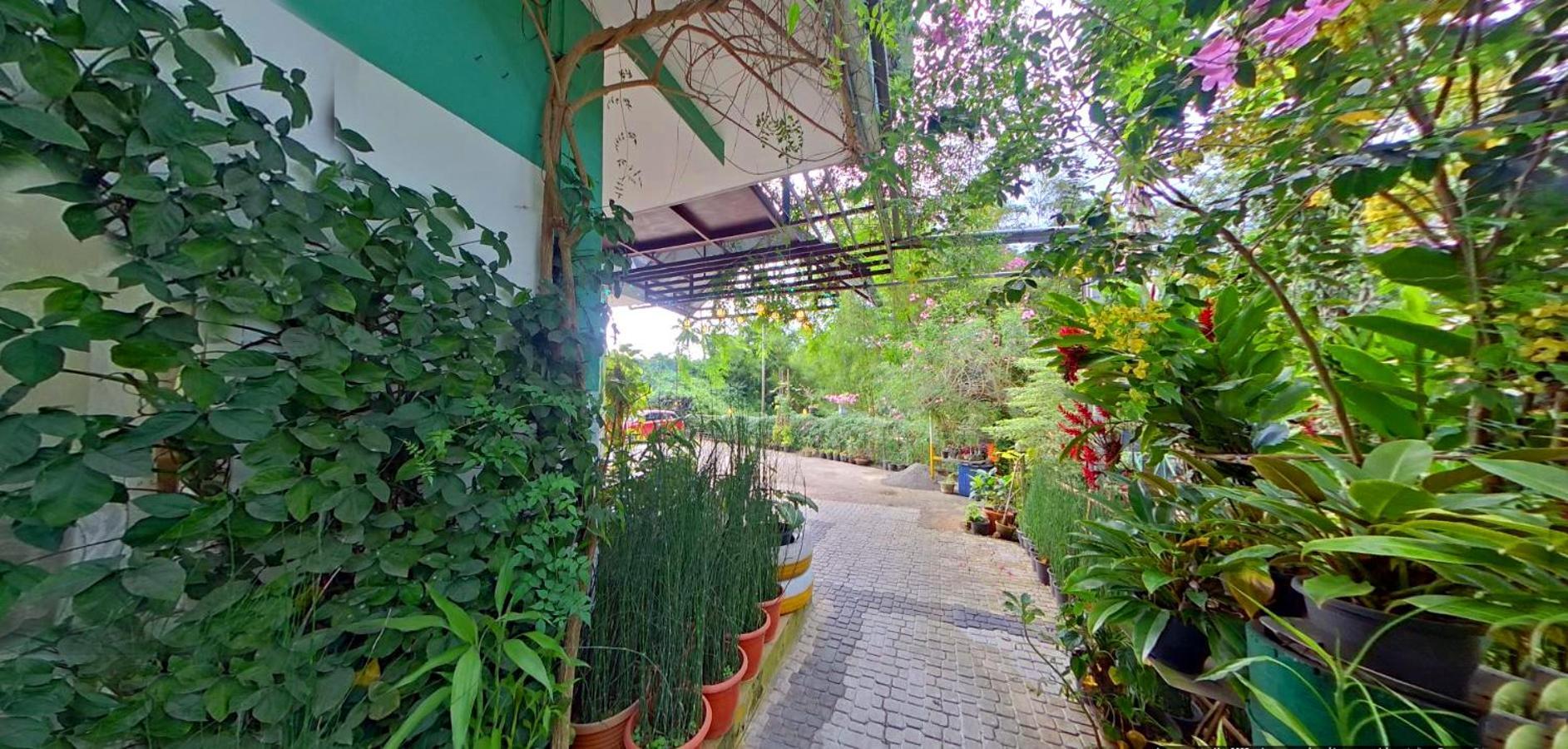 לינה וארוחת בוקר קאלפטה Wayanad Royal Stream מראה חיצוני תמונה