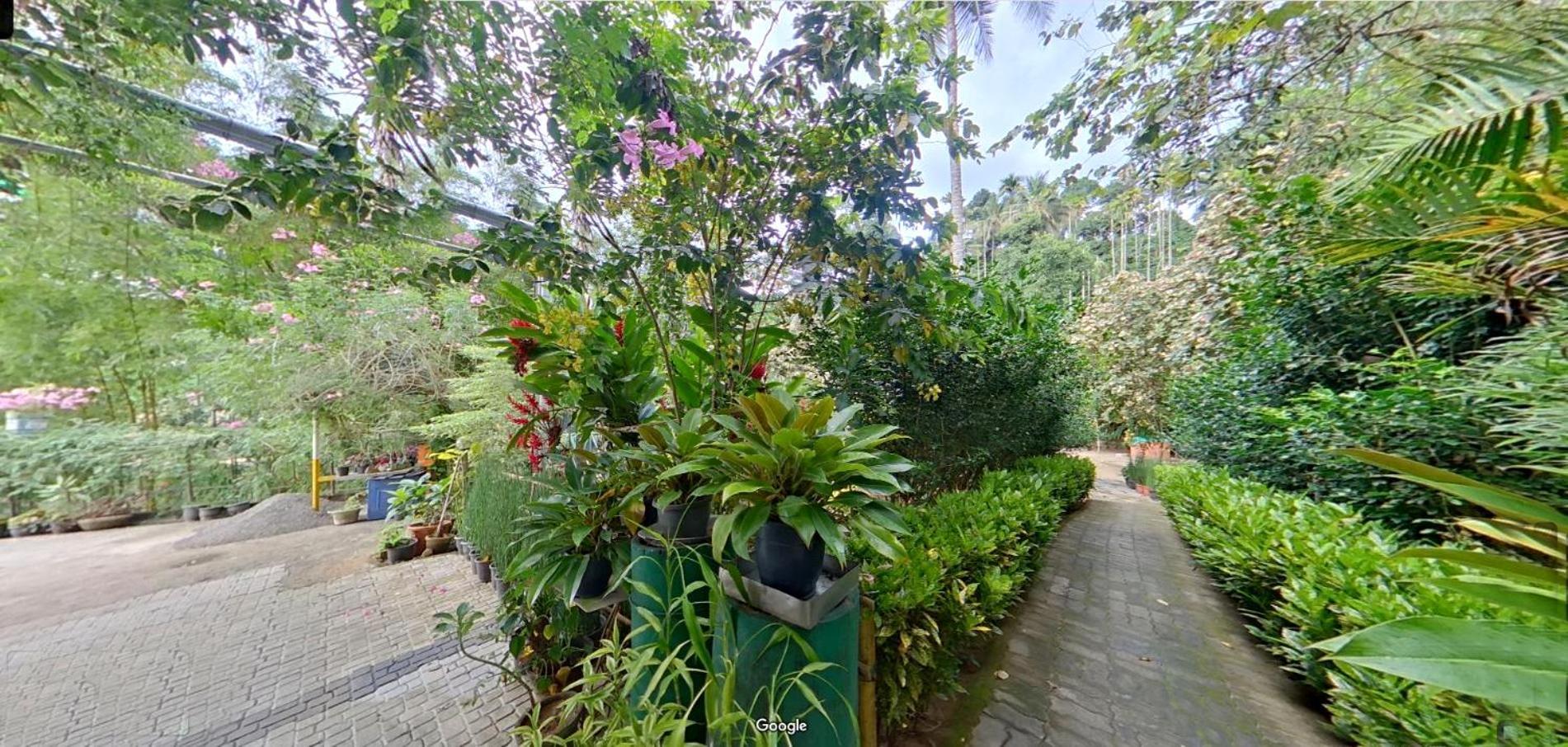 לינה וארוחת בוקר קאלפטה Wayanad Royal Stream מראה חיצוני תמונה