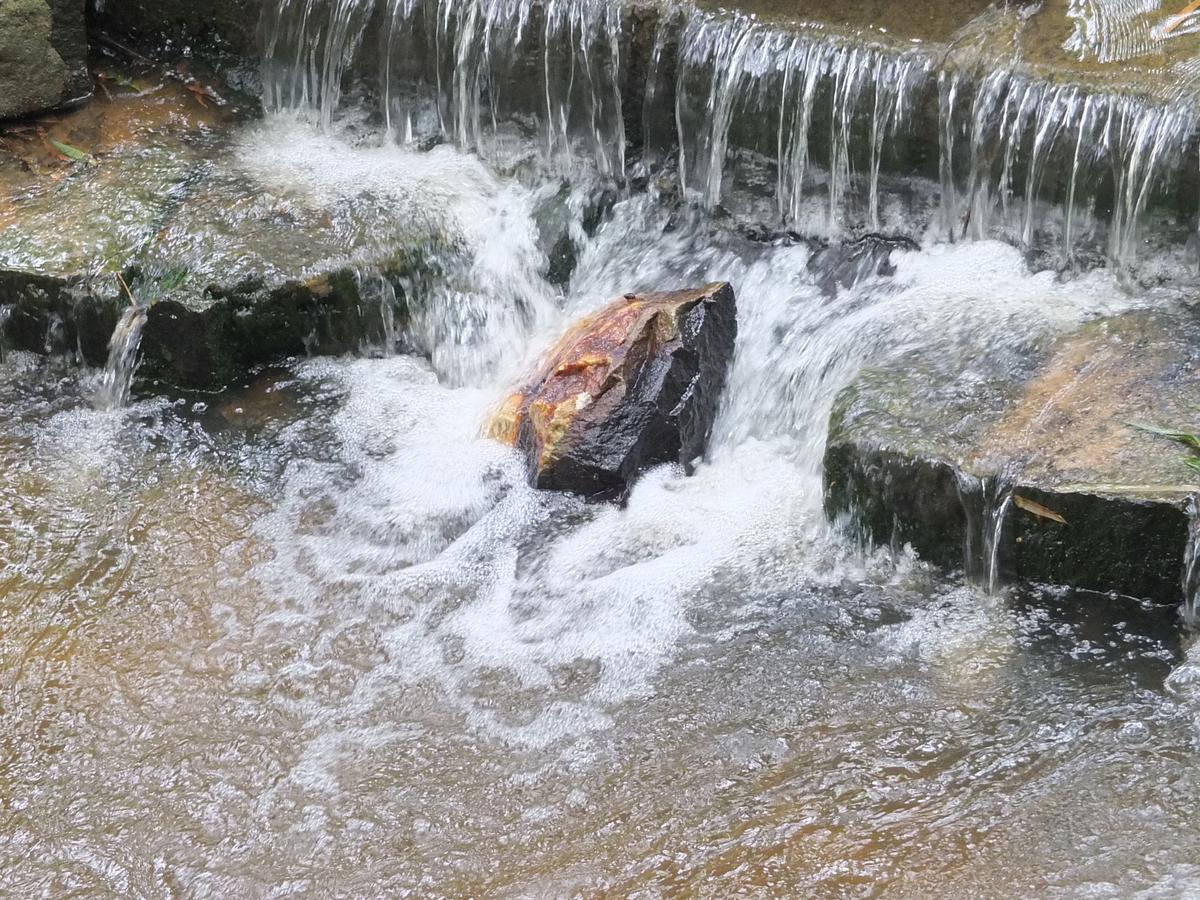 לינה וארוחת בוקר קאלפטה Wayanad Royal Stream מראה חיצוני תמונה